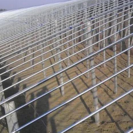 貴州鍍鋅鋼管用于大棚建設(shè)